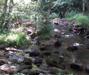 Sentier sonore au fil de l'eau